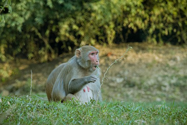 Top 10 des jobs d'été les plus recherchés